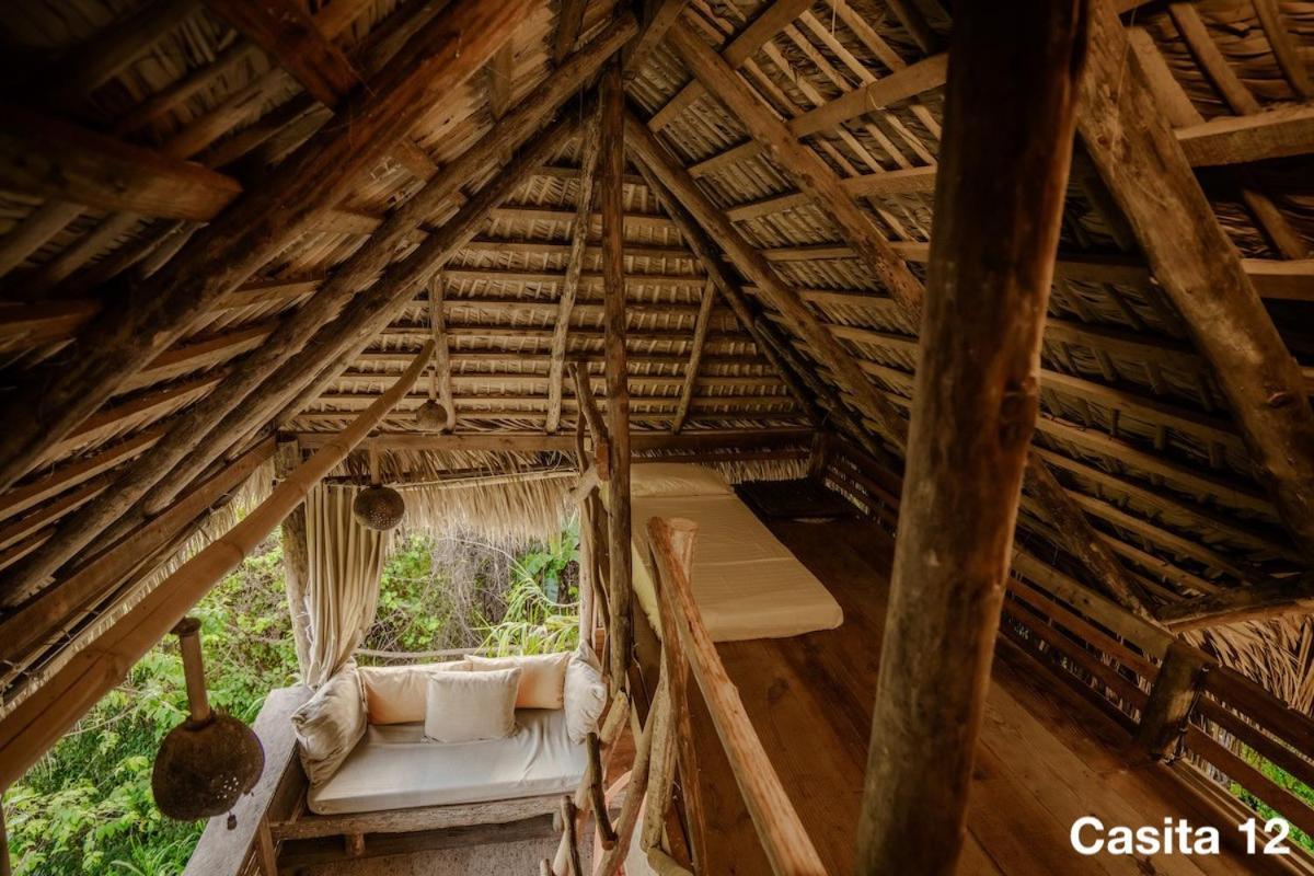 Ecolodge Tubagua Puerto Plata Luaran gambar