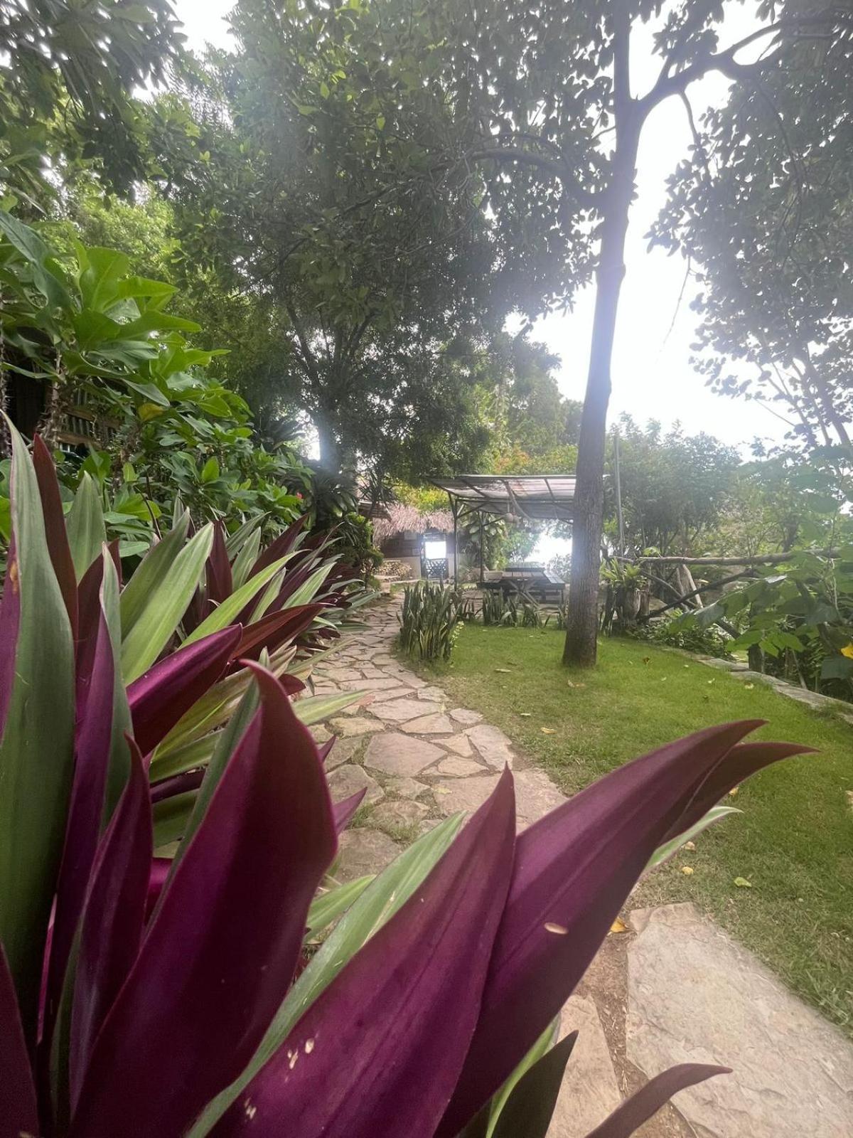 Ecolodge Tubagua Puerto Plata Luaran gambar