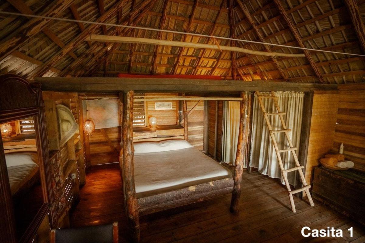 Ecolodge Tubagua Puerto Plata Luaran gambar
