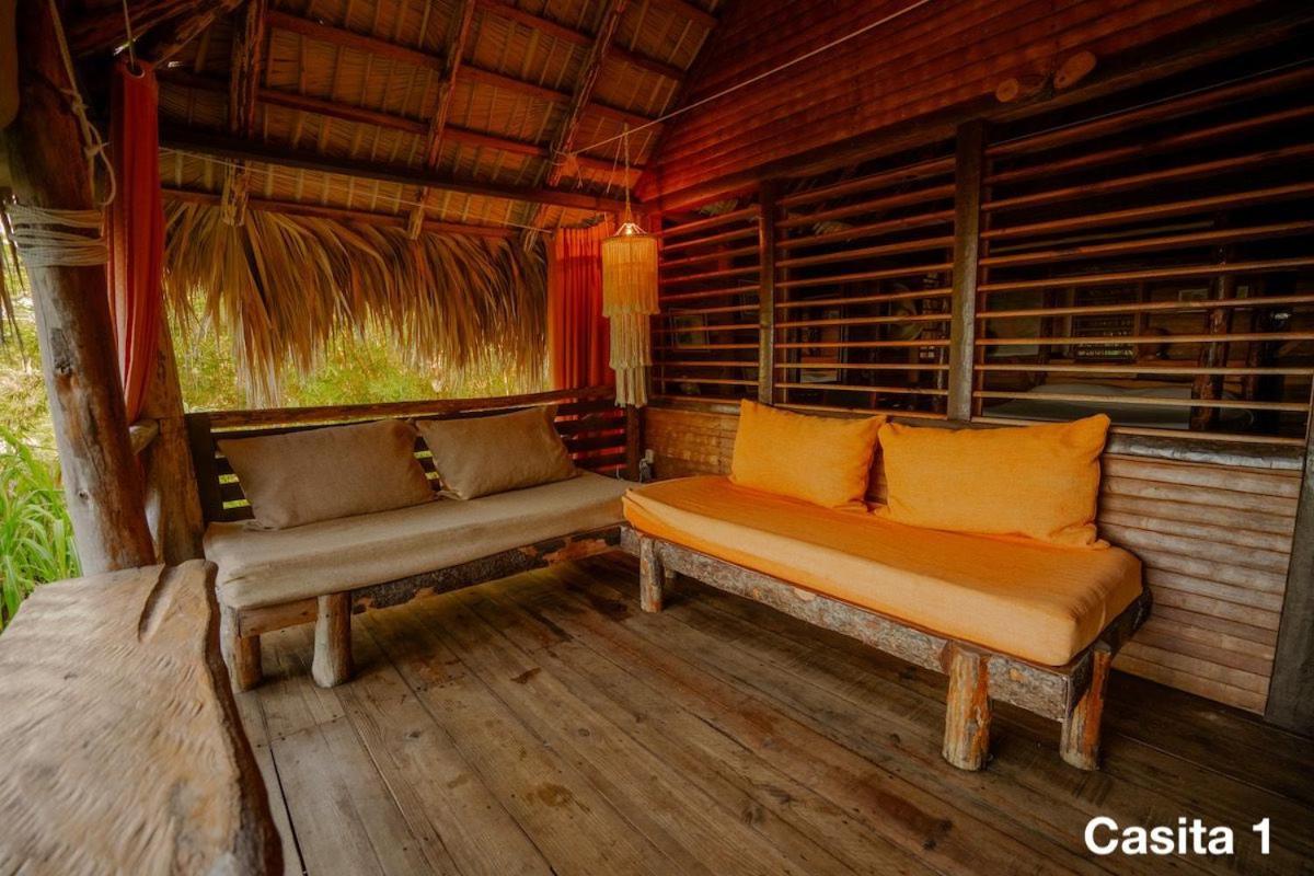 Ecolodge Tubagua Puerto Plata Luaran gambar