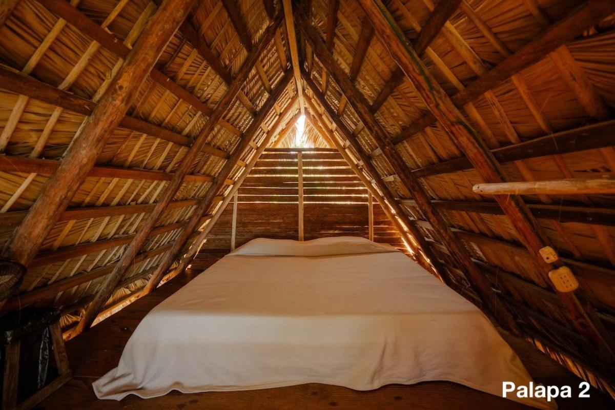 Ecolodge Tubagua Puerto Plata Luaran gambar
