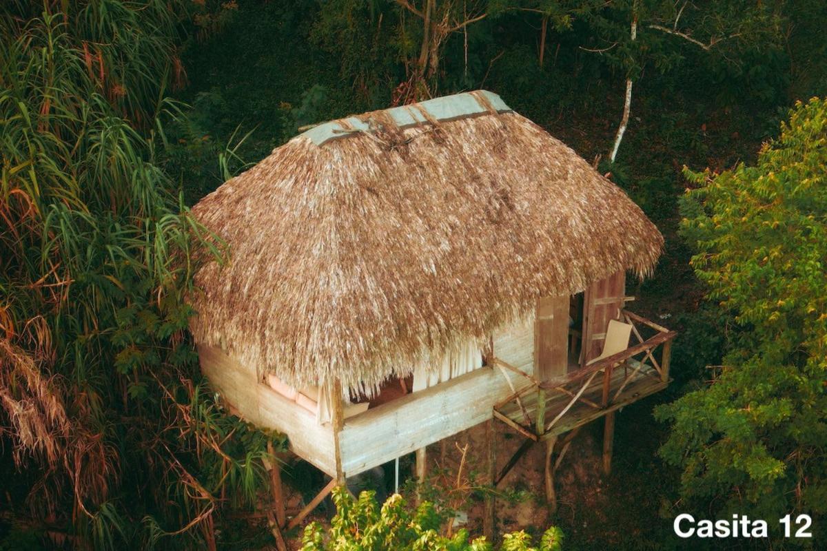 Ecolodge Tubagua Puerto Plata Luaran gambar