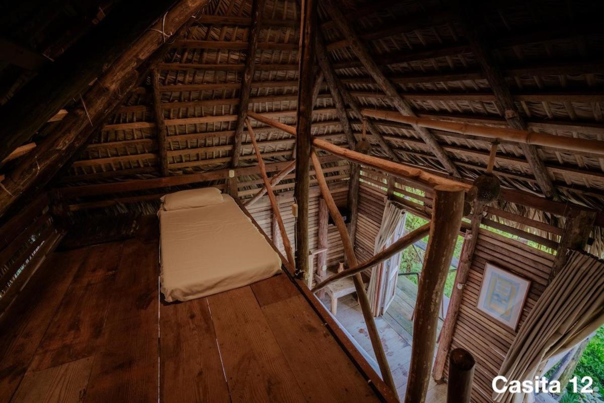 Ecolodge Tubagua Puerto Plata Luaran gambar