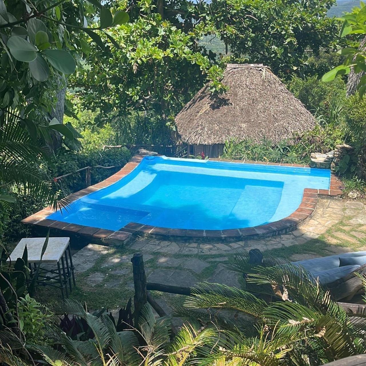 Ecolodge Tubagua Puerto Plata Luaran gambar