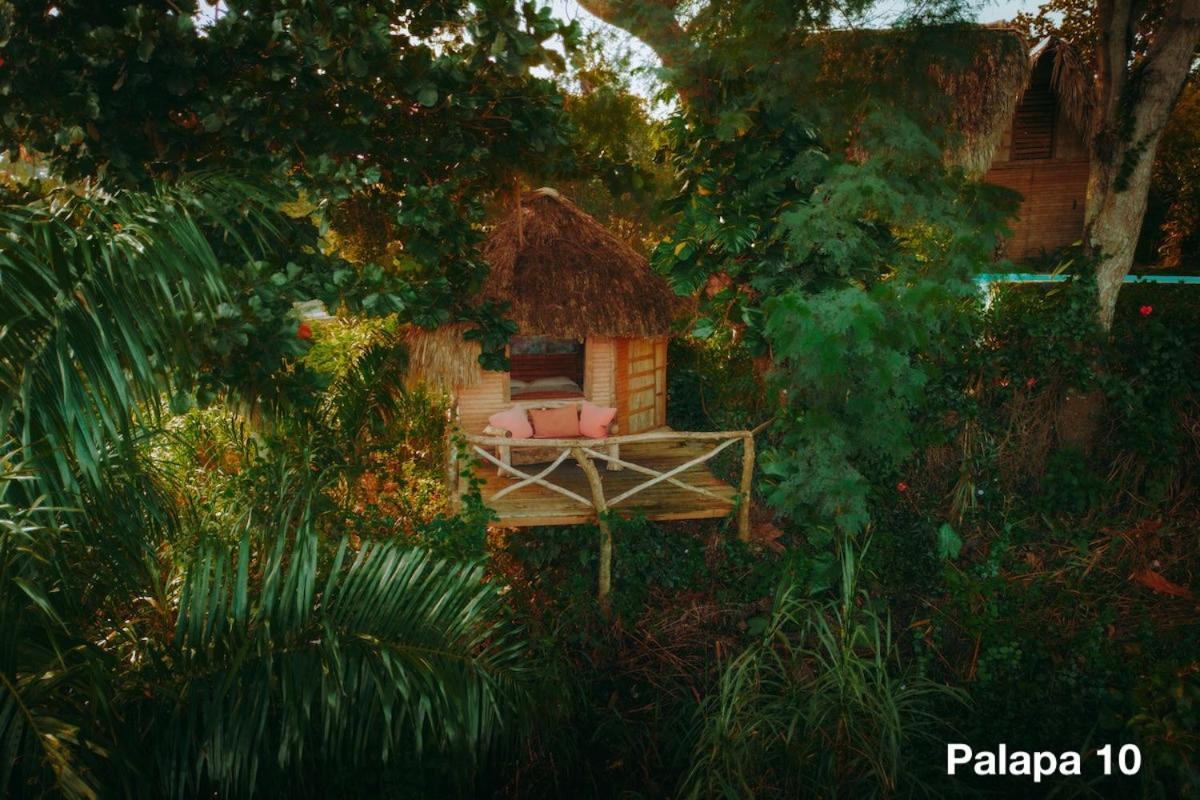 Ecolodge Tubagua Puerto Plata Luaran gambar