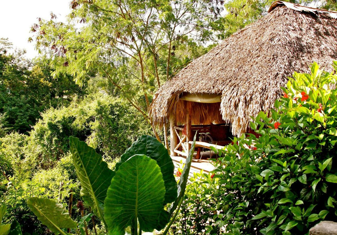 Ecolodge Tubagua Puerto Plata Luaran gambar
